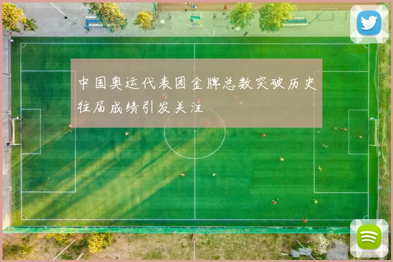 中国奥运代表团金牌总数突破历史往届成绩引发关注